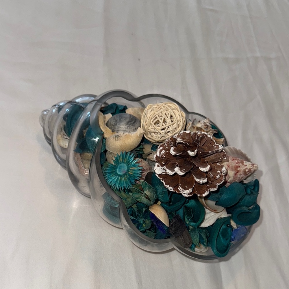 Decorative Shell Bowl with Teal and Natural Accents